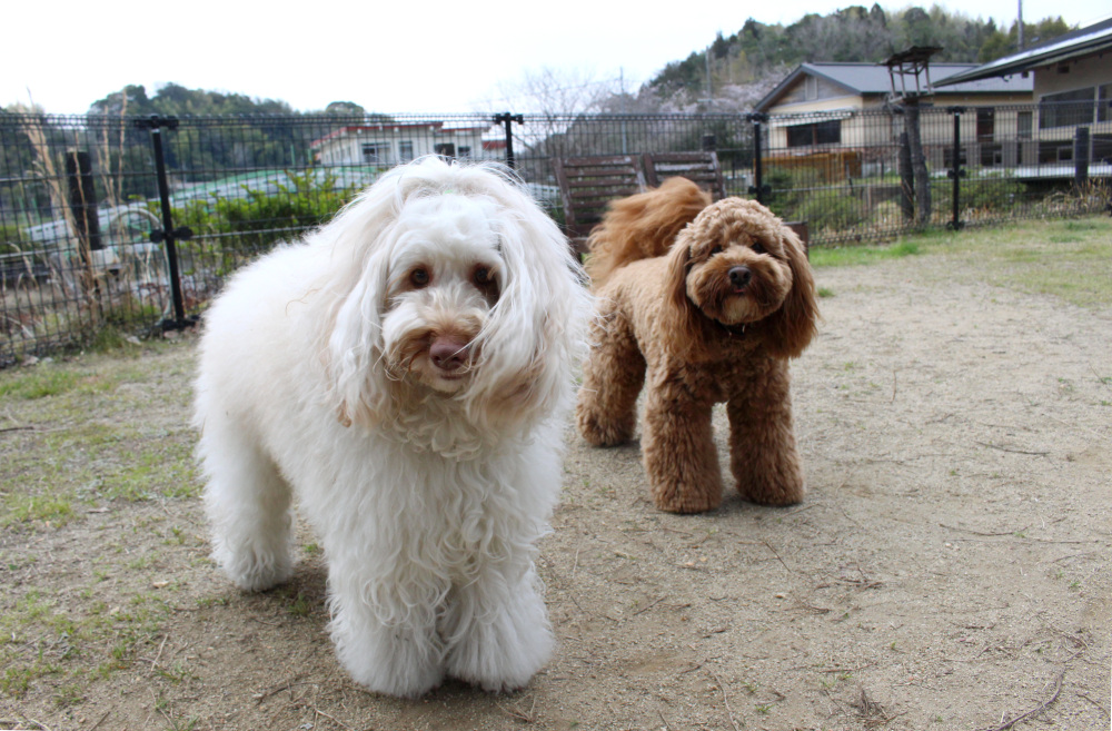 W.A.S riverside nature terrace