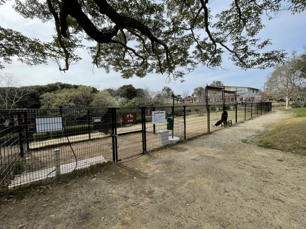 平草原公園のドッグラン