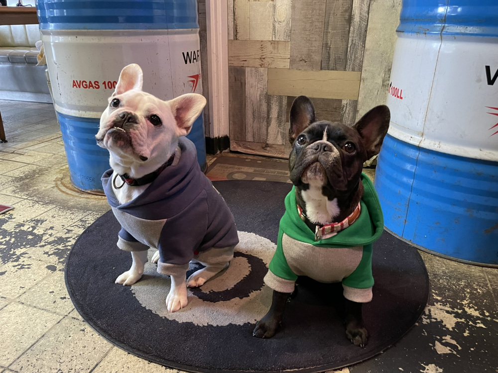 白浜パラダイス