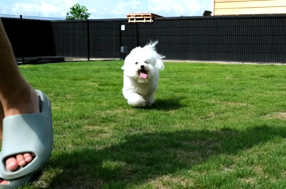 しっぽの森リゾート白浜