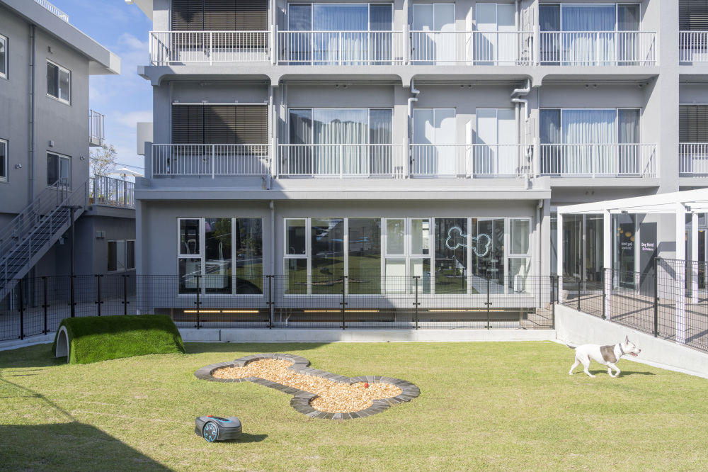 ドッグホテル白浜