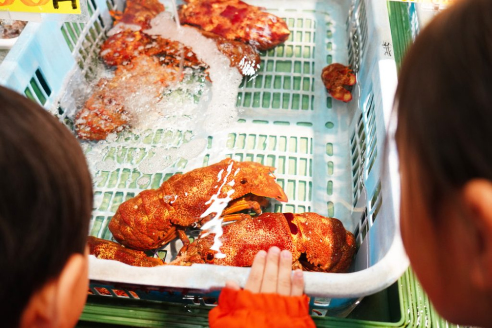 生きたエビやカニなどもいて、興味津々。