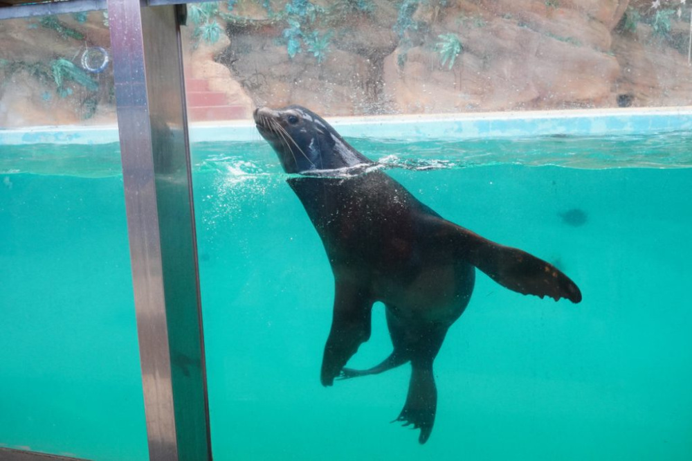 パークテーマは「いのちを見つめ問い続ける。いのちの美しさに気づく場所」。