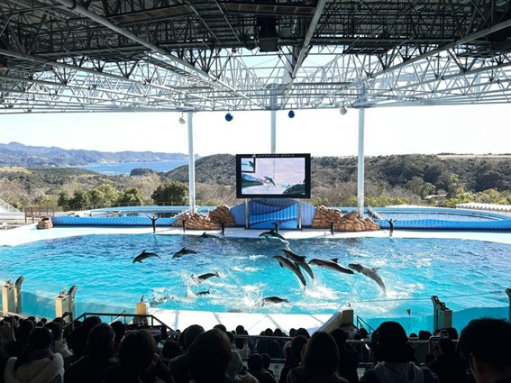 人とイルカが織りなすマリンライブ「Smiles」。