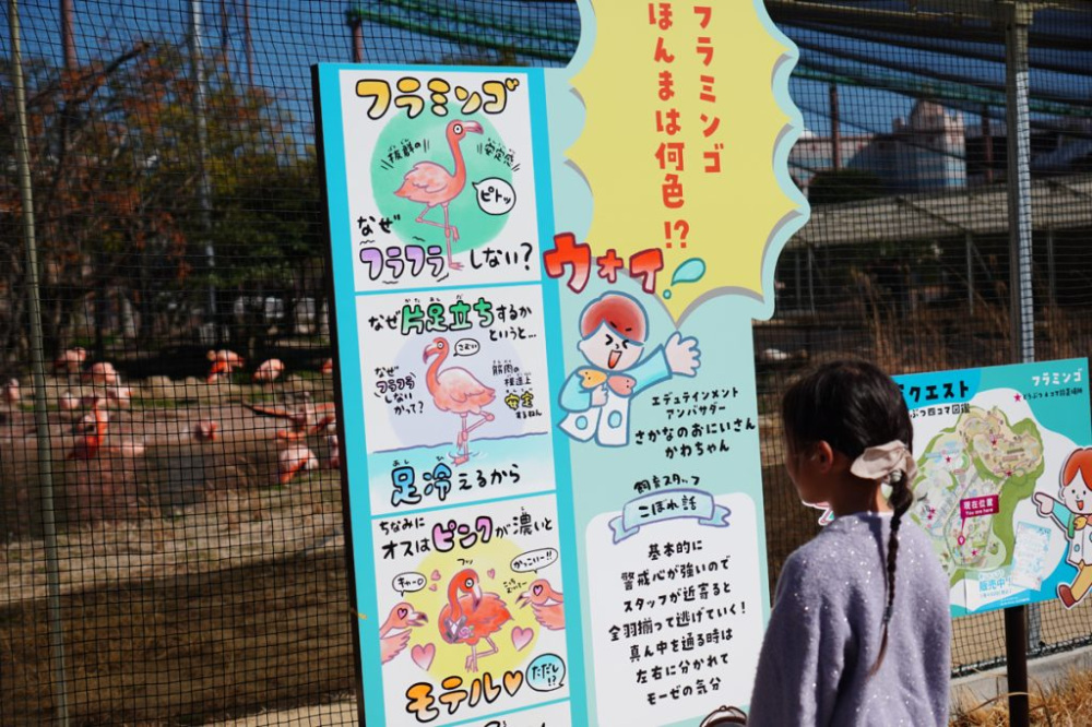 園内のあちこちにあった、さかなのおにいさん かわちゃんによる豆知識。