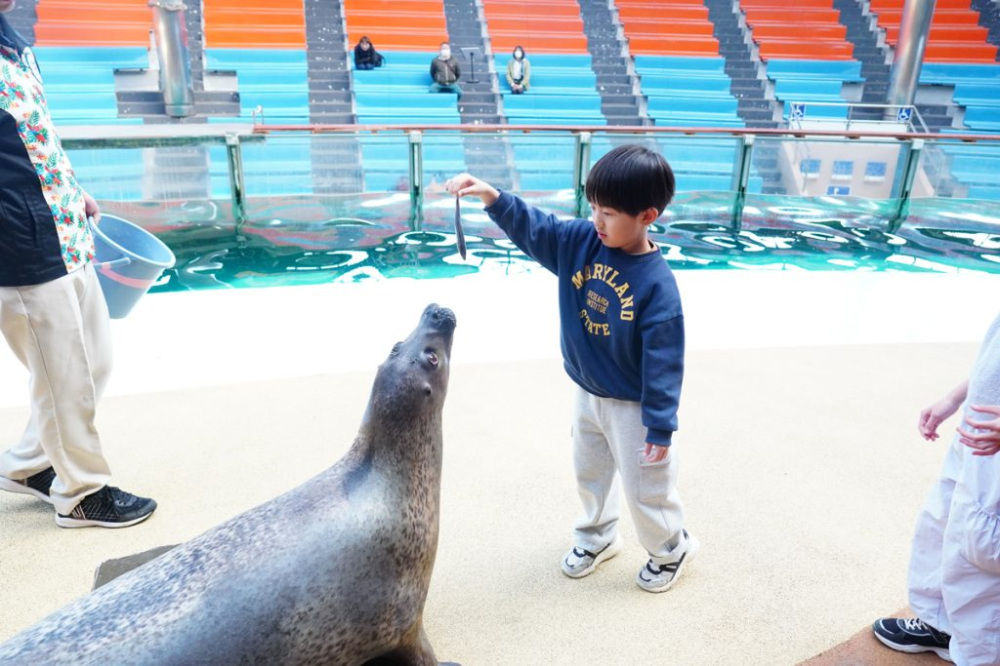 魚を直接あげることができる貴重な体験。