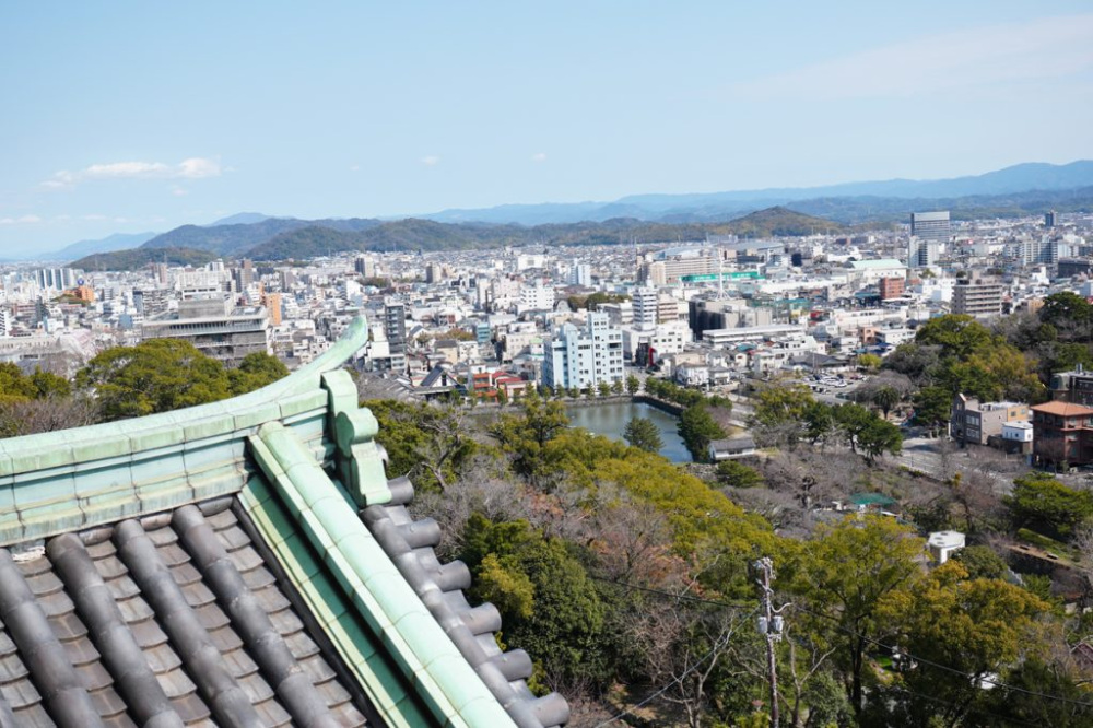 和歌山市の様子を一望できます。