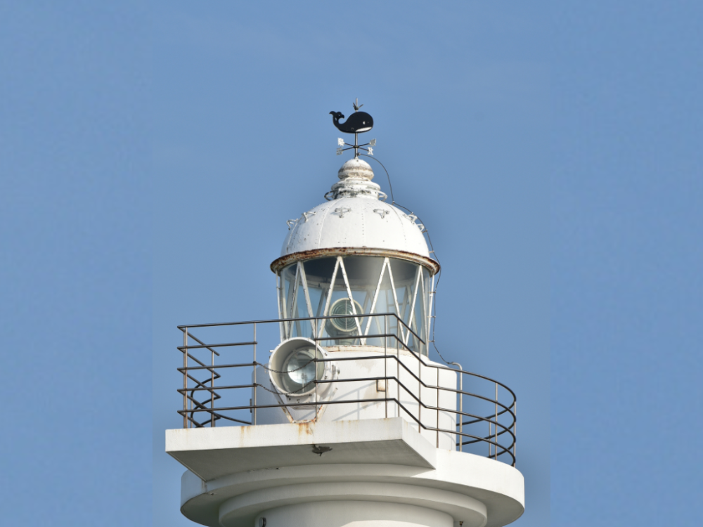 風見鶏ならぬ「風見くじら」