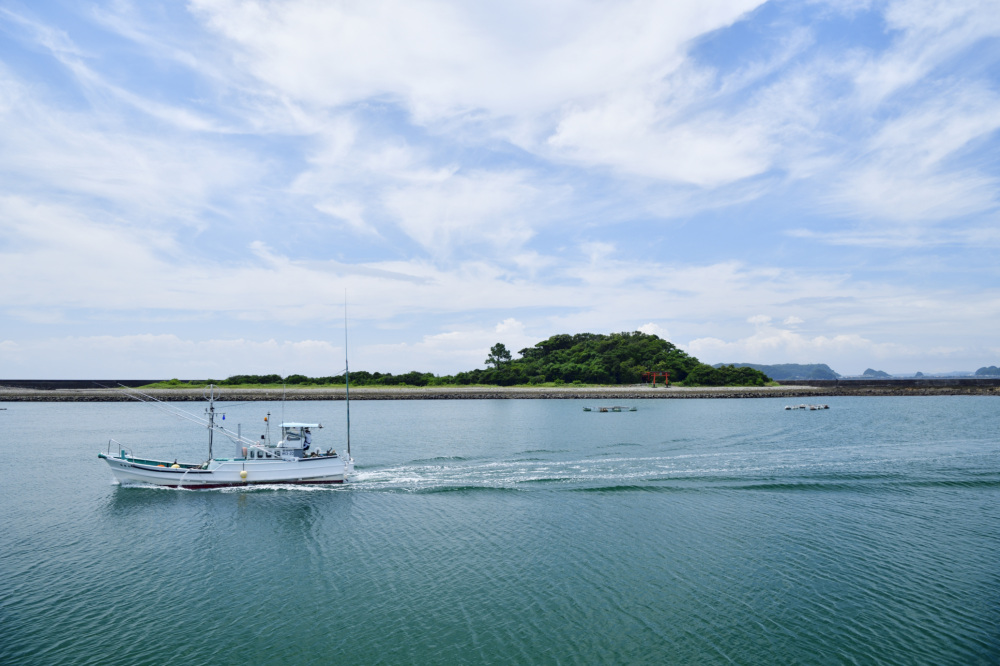 こんもり茂る緑に覆われた孔島の前には穏やかな海が広がっている