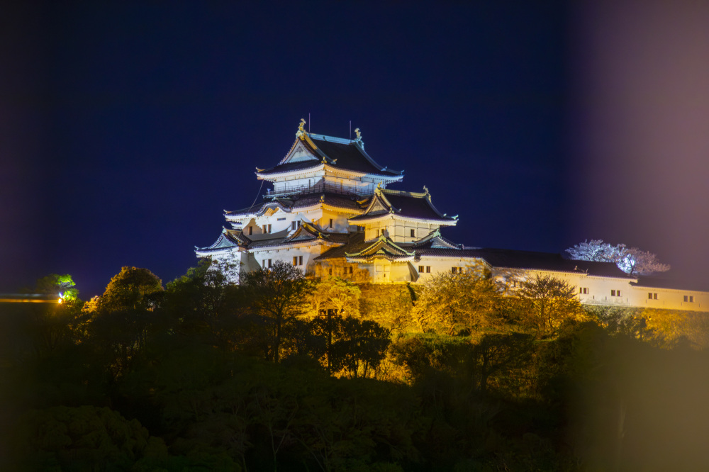 夜の和歌山城