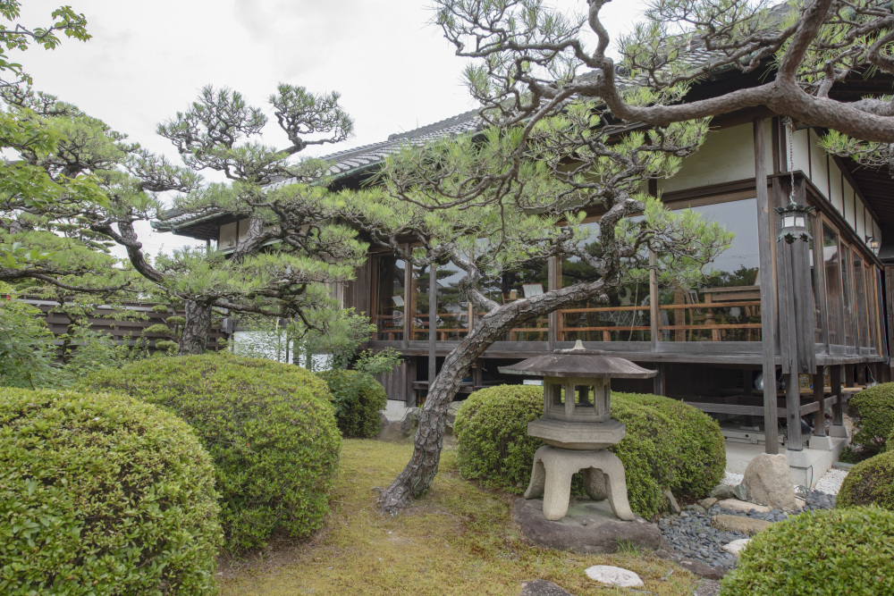 日本庭園を眺めながら一息。