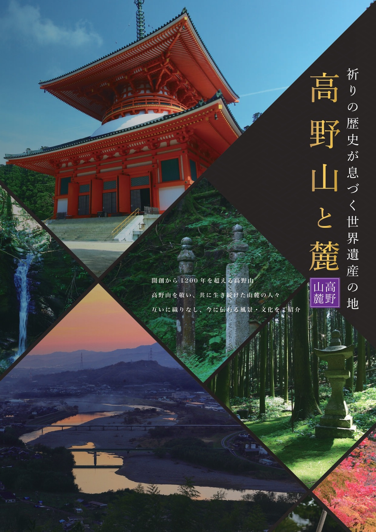 高野地域広域パンフレット