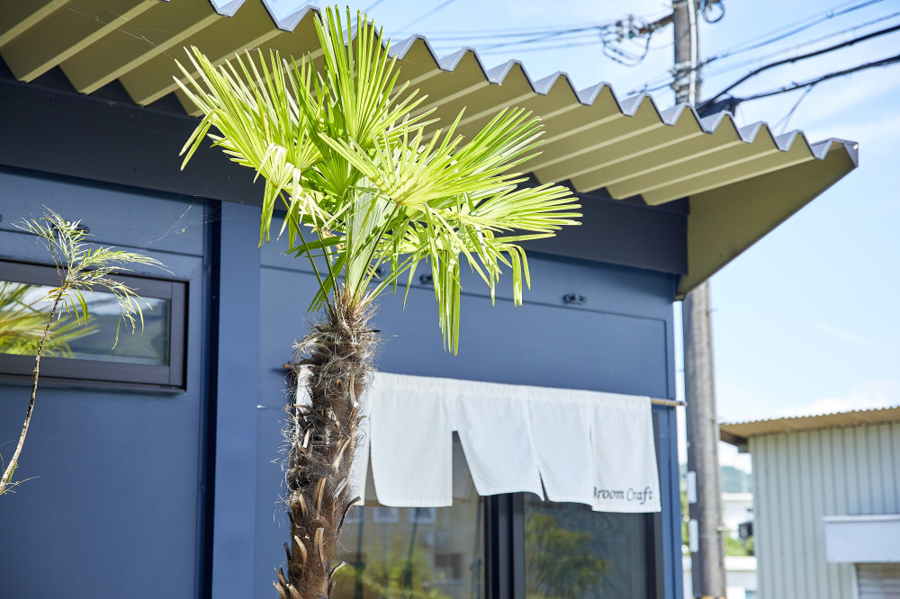 コンテナの前には、シンボルツリーとして棕櫚が植えられていました。