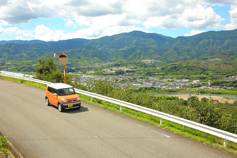 紀の川フルーツライン