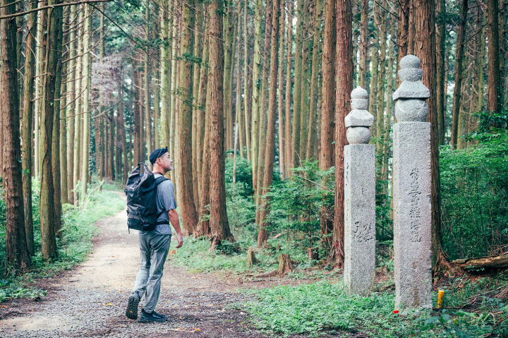 高野山への表参道、町石道を歩く！空海が開いた祈りの道へ