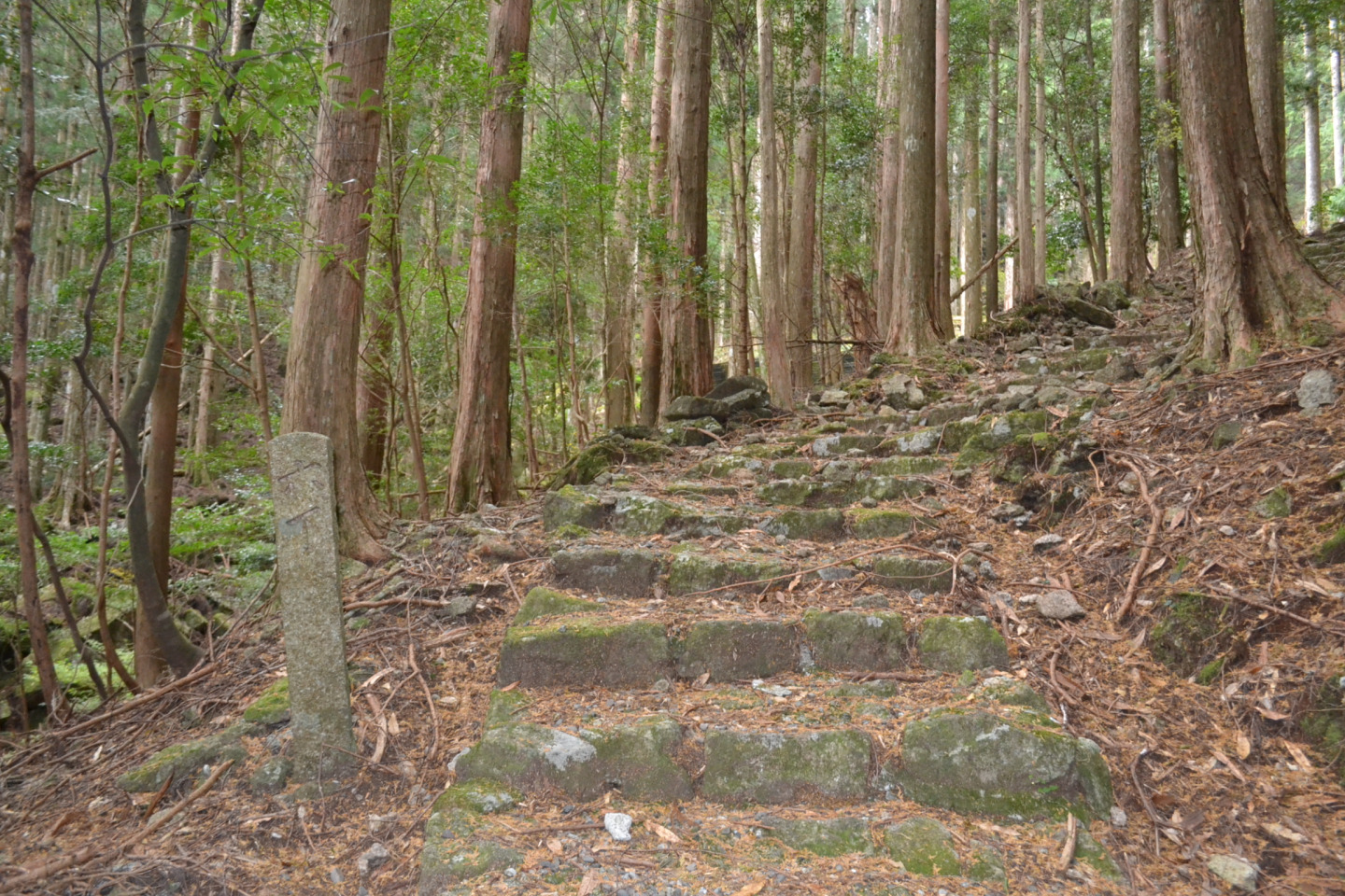 黄泉の国への入口　妙法山阿弥陀寺へ！世界遺産「かけぬけ道」を歩く！