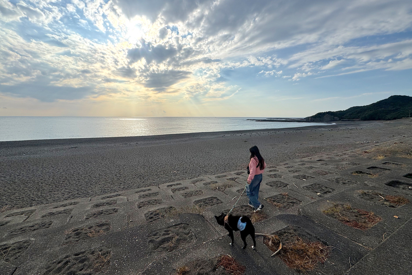 愛犬と歩く南紀の風景。自然を楽しむ1泊2日モデルコース