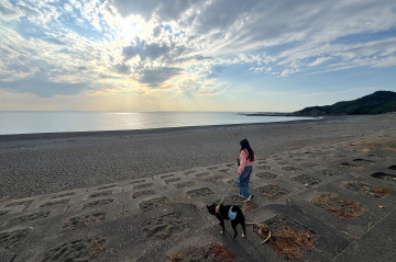 愛犬と歩く南紀の風景。自然を楽しむ1泊2日モデルコース