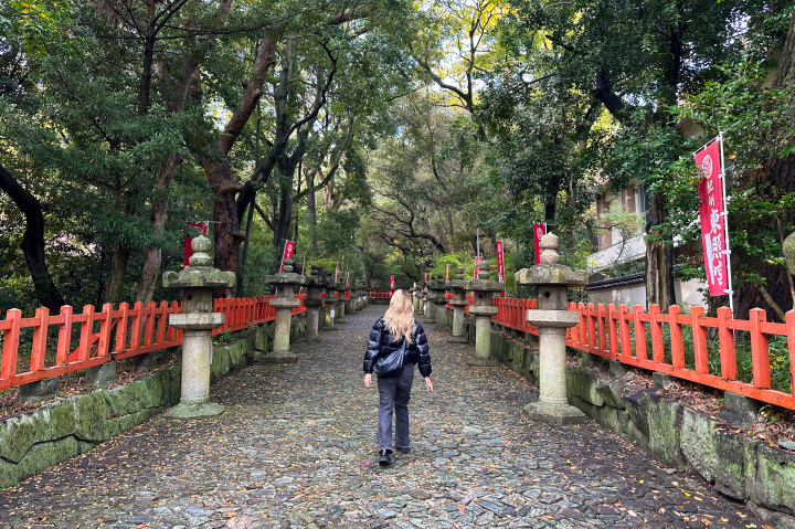 和歌山の歴史と多彩な食を堪能！市街地周辺の贅沢旅プラン