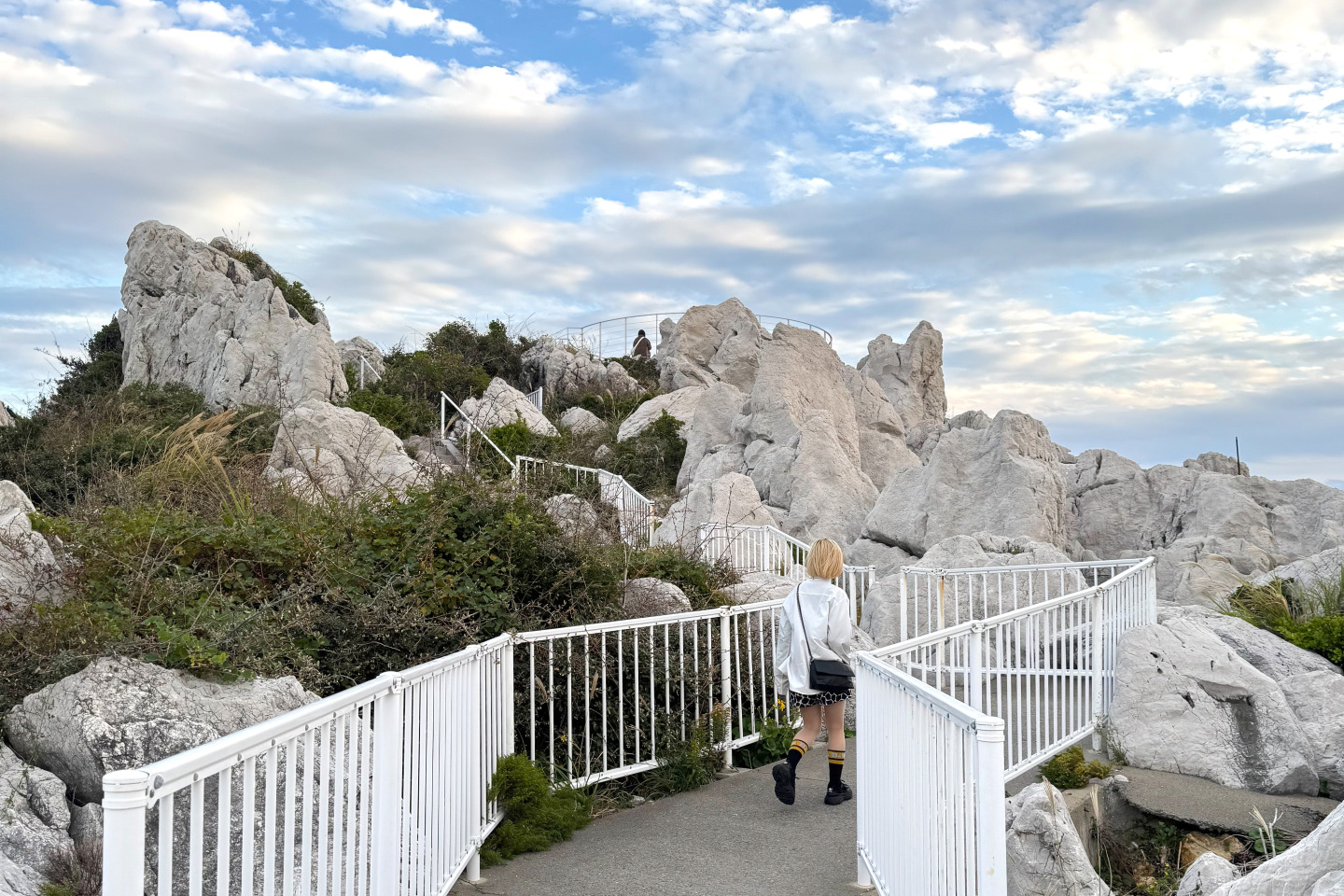和歌山の味覚と海・山の絶景をセットでめぐる欲張りモデルコース
