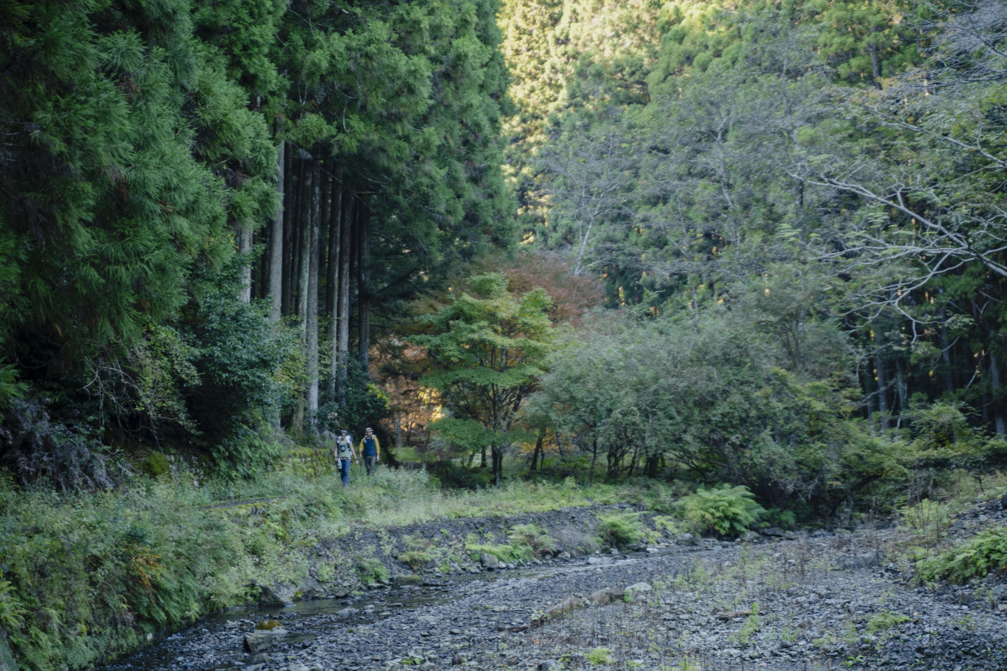 熊野古道中辺路　ロングトレイルの歩き方 3日目　近露王子〜熊野本宮大社・大斎原（総歩行距離：25.7km）