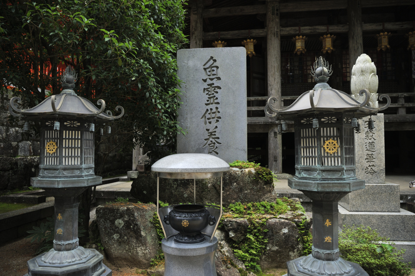 ”海の日本遺産”と”山の世界遺産”をめぐる熊野満喫プラン