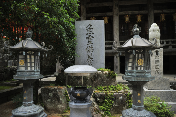 ”海の日本遺産”と”山の世界遺産”をめぐる熊野満喫プラン