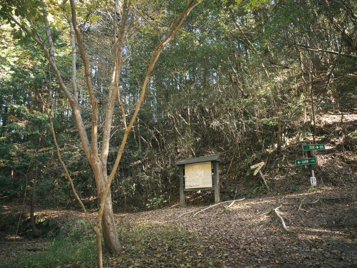 [ Undefined: coursed-title-nl2br ]