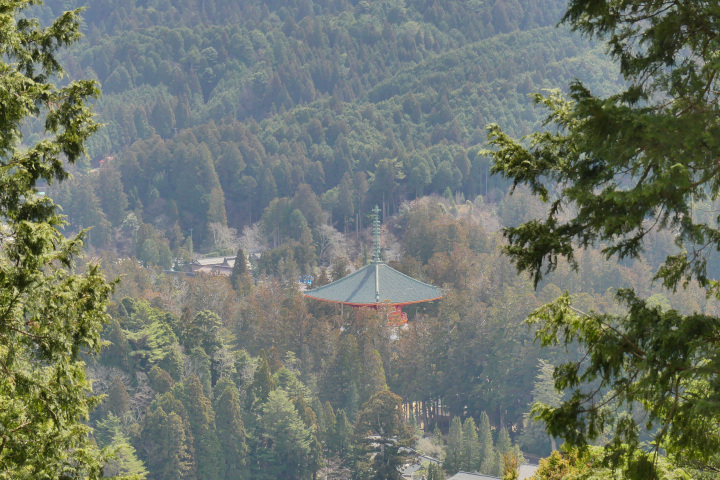 弁天岳から望む根本大塔