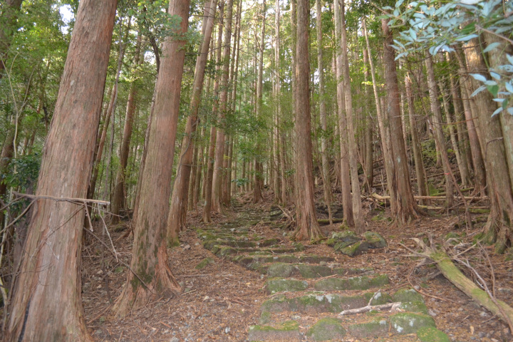 [ Undefined: coursed-title-nl2br ]