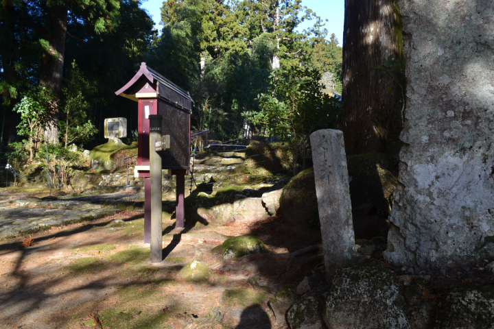 [ Undefined: coursed-title-nl2br ]