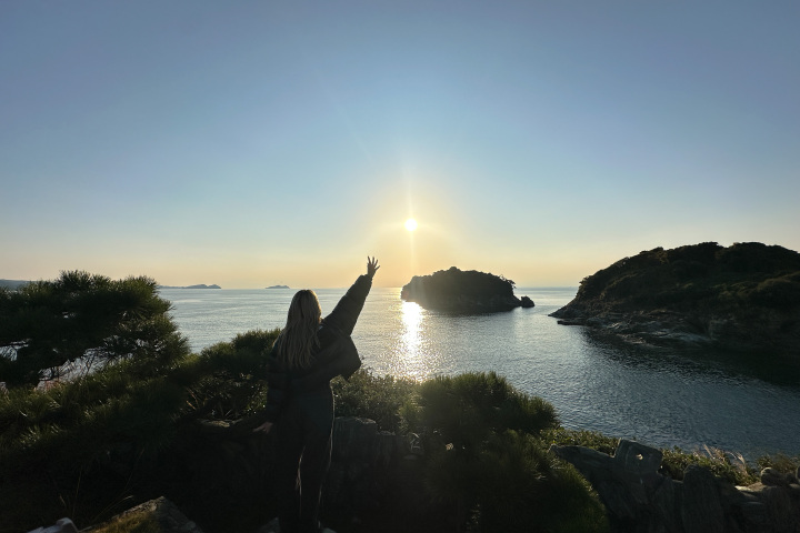 [ Undefined: coursed-title-nl2br ]