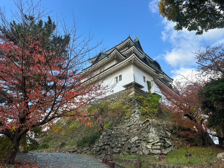 [ Undefined: coursed-title-nl2br ]