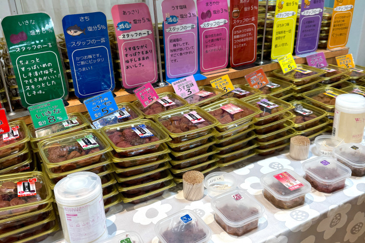 [ Undefined: coursed-title-nl2br ]