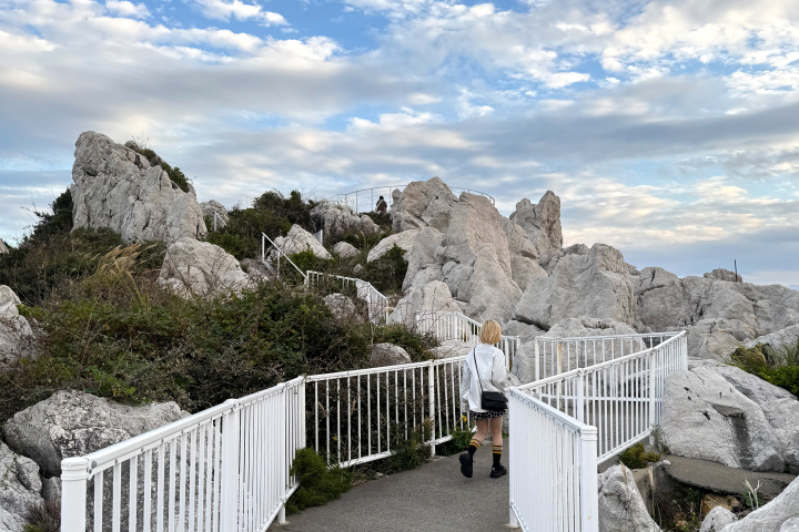 [ Undefined: coursed-title-nl2br ]