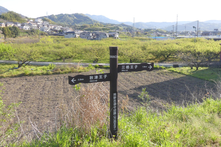 [ Undefined: coursed-title-nl2br ]