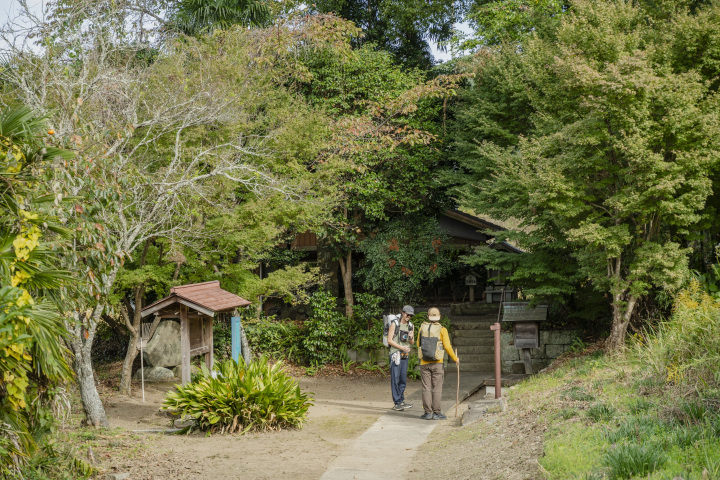 [ Undefined: coursed-title-nl2br ]