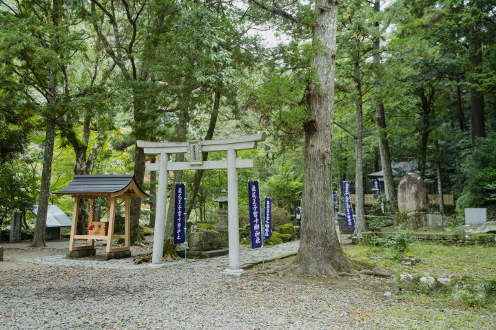 [ Undefined: coursed-title-nl2br ]