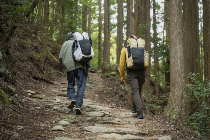 翌日のルートを見る
