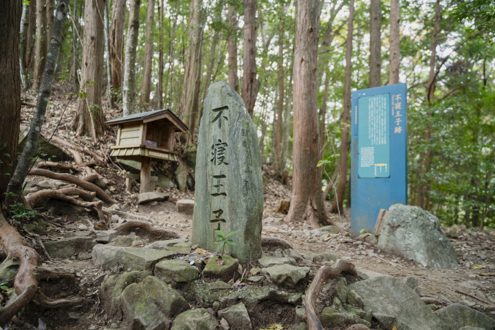 [ Undefined: coursed-title-nl2br ]