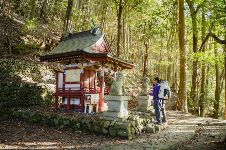 [ Undefined: coursed-title-nl2br ]