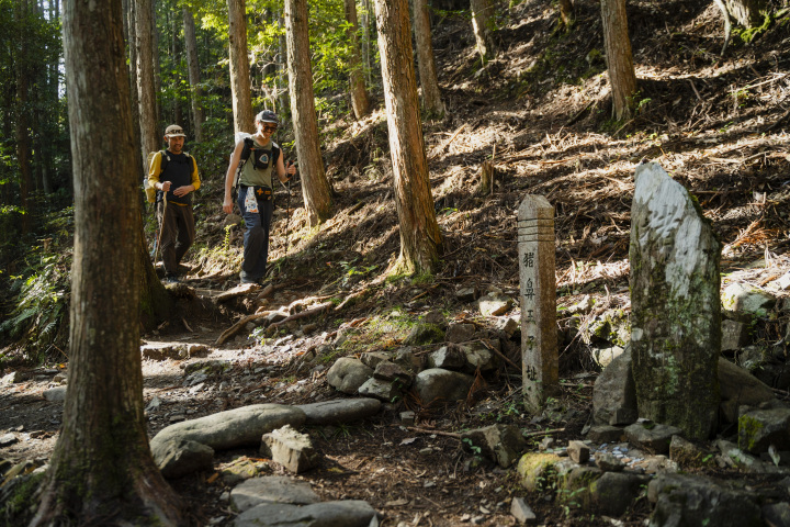 [ Undefined: coursed-title-nl2br ]