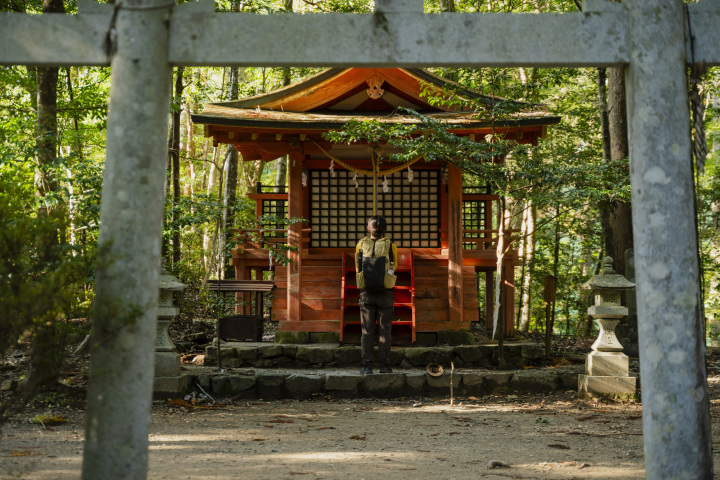 [ Undefined: coursed-title-nl2br ]