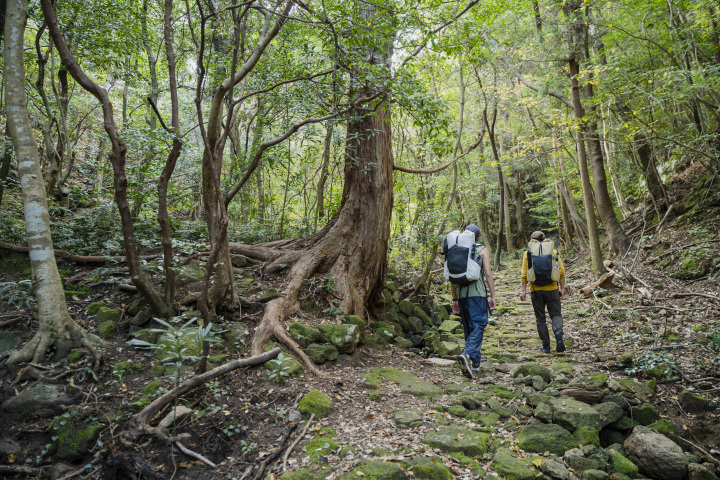 [ Undefined: coursed-title-nl2br ]