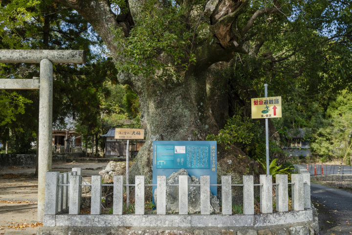 [ Undefined: coursed-title-nl2br ]