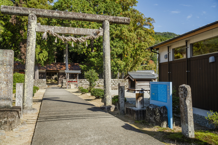 [ Undefined: coursed-title-nl2br ]