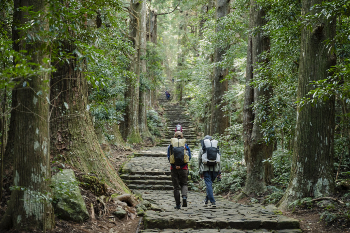 [ Undefined: coursed-title-nl2br ]