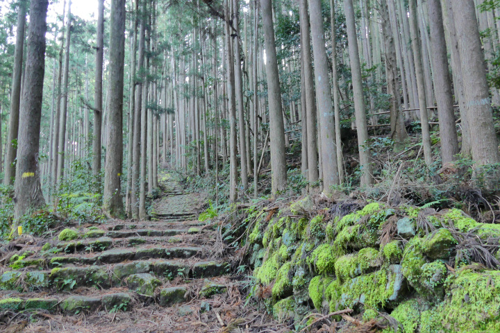 [ Undefined: coursed-title-nl2br ]