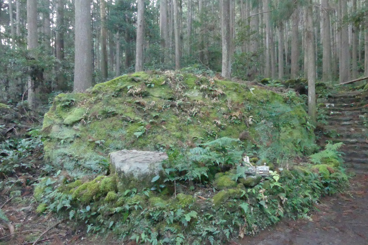 [ Undefined: coursed-title-nl2br ]