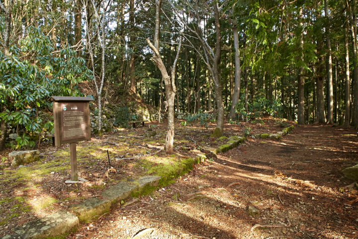 [ Undefined: coursed-title-nl2br ]